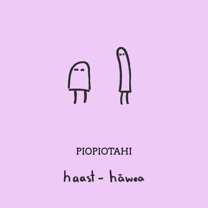 Piopiotahi Album Cover