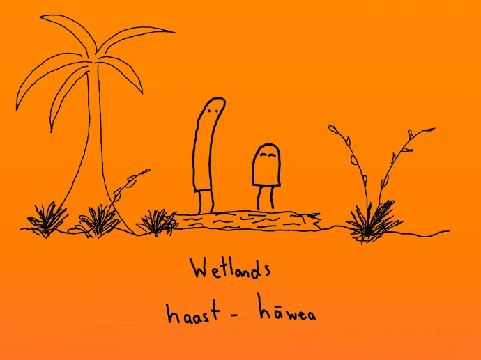 Wetlands Album Cover