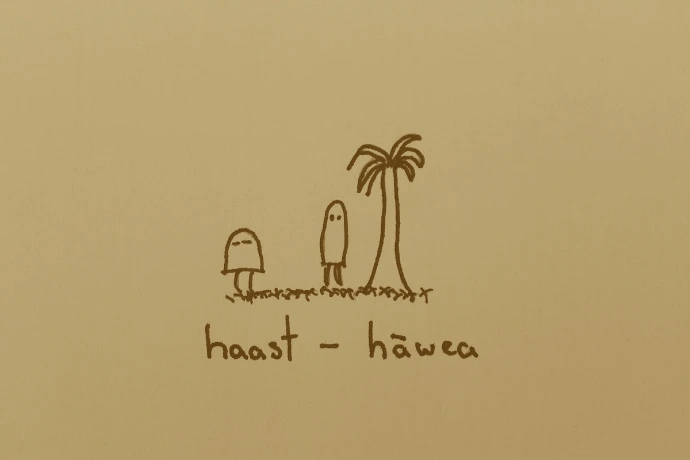 Haast Hawea Album Cover