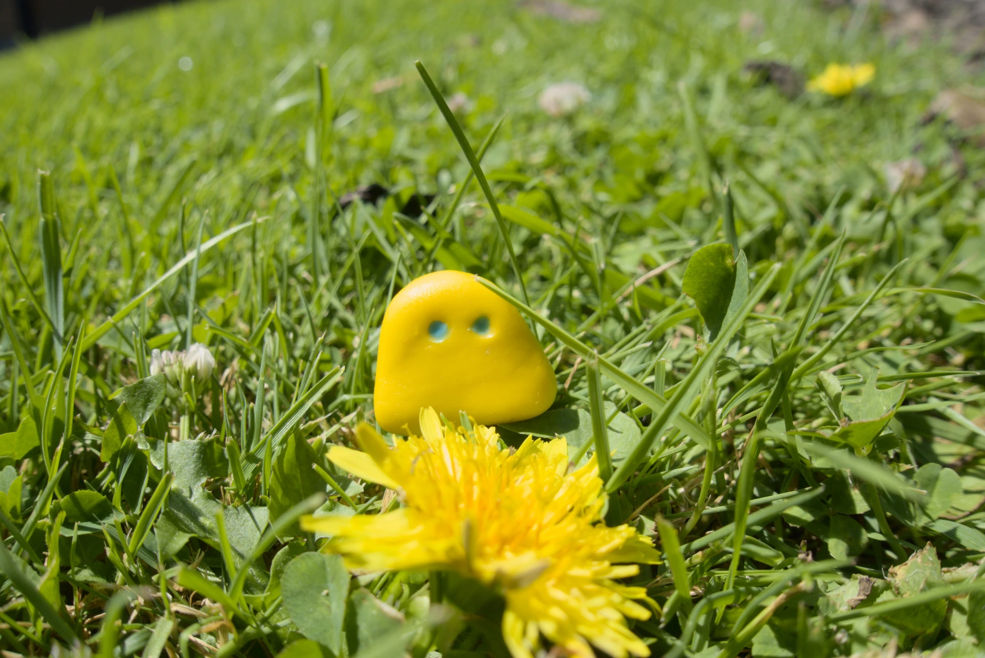 Haast - Hāwea Sprite